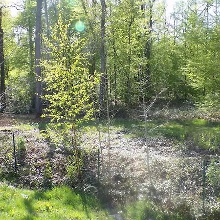 En Bordure De Foret Chalet Signy-le-Petit
