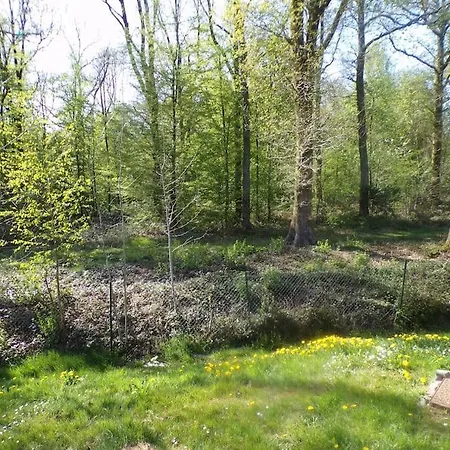 Chalet En Bordure De Foret *